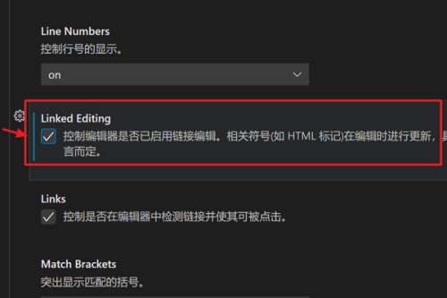 Vscode怎么启用链接编辑？Vscode启用链接编辑方法截图