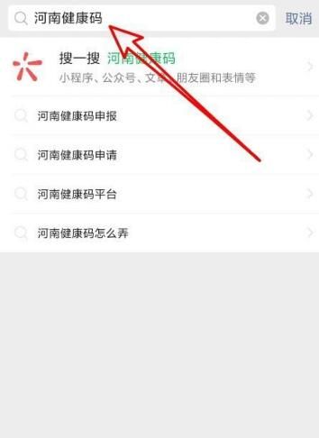 微信河南健康码怎么申请 微信河南健康码在哪里截图