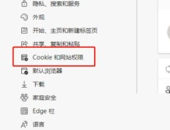 microsoft edge怎么查看Cookie数据？microsoft edge查看Cookie数据教程截图