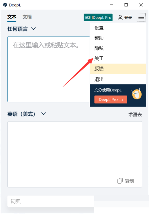 DeepL翻译器怎么查看版本?DeepL翻译器查看版本方法截图