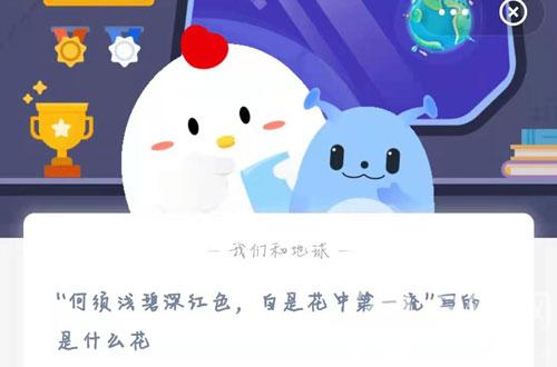 何须浅碧深红色说的是什么花？蚂蚁庄园2月21日答案