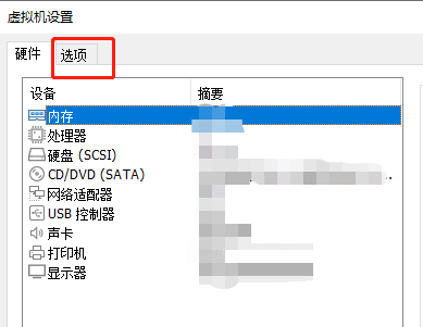 VMware Workstation怎么启用VNC连接？VMware Workstation启用VNC连接教程截图