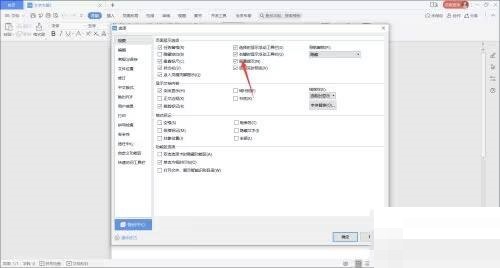 WPS Office怎么设置屏幕提示?WPS Office设置屏幕提示教程截图