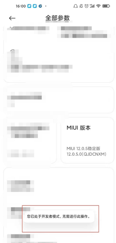 小米10s怎样设置开发者选项 小米10s开发者选项设置方法截图