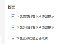 迅雷11如何设置下载失败时弹窗提示？迅雷11设置下载失败时弹窗提示的方法截图