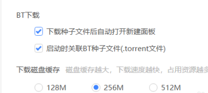 迅雷11如何设置下载磁盘缓存？迅雷11设置下载磁盘缓存的方法截图