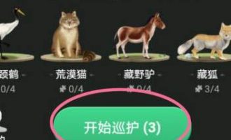 小编教你支付宝蚂蚁森林保护地如何巡护。