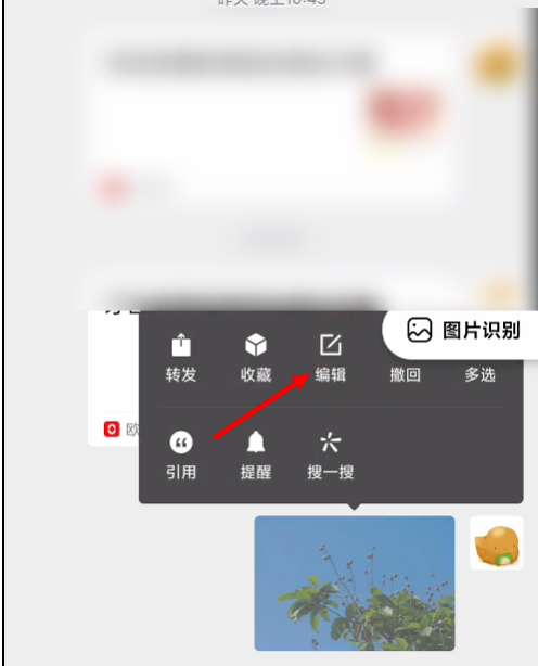 微信怎么修改已经发送的图片？微信修改已经发送的图片方法步骤截图