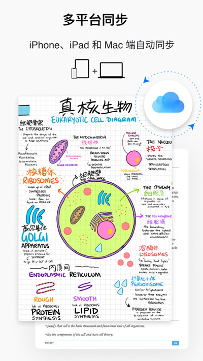 GoodNotes50元是不是永久的?GoodNotes50元是不是永久的介绍截图